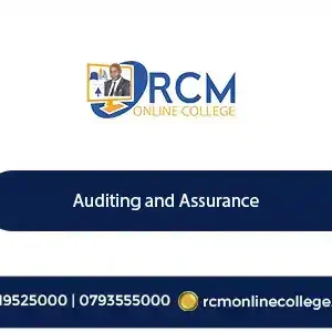 Auditing and Assurance, Auditing course, assurance course, internal audit, external audit, financial reporting, risk assessment, compliance audit, forensic audit, business assurance, corporate governance, online auditing training, CPA auditing, financial statement audit.