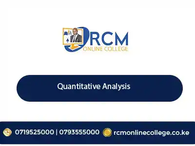 Quantitative analysis, data analysis, statistics, business analytics, probability, decision-making, research methods, mathematical modeling, statistical tools, online analytics course.