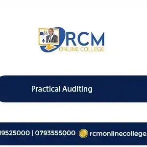 Practical auditing, auditing course, financial audit, compliance audit, risk assessment, internal audit, external audit, forensic auditing, RCM Online College.