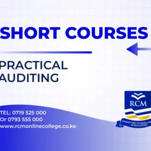 RCM Online College, Practical Auditing