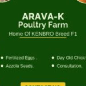 Profile photo of Jacob Ngei