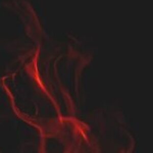 Profile photo of Juliet